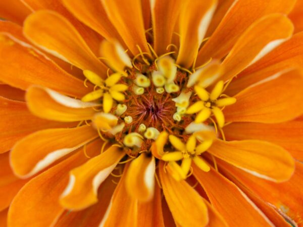 Animation Movies Are Best for Family Viewing